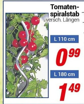 CENTERSHOP Tomatenspiralstab Angebot