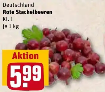 REWE Center Deutschland Rote Stachelbeeren 1 kg Angebot