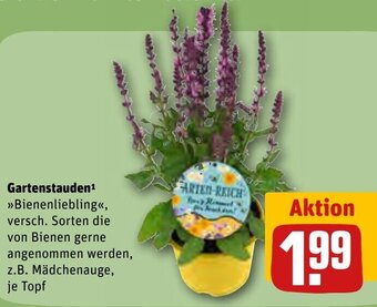 REWE Center Gartenstauden ,,Bienenliebling" Angebot
