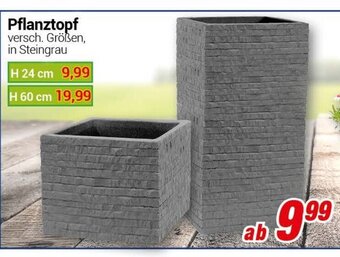 CENTERSHOP Pflanztopf Angebot