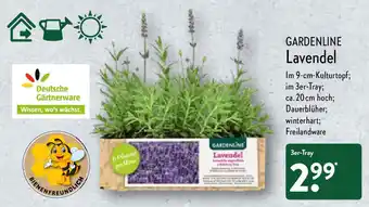 Aldi Nord Gardenline Lavendel Angebot