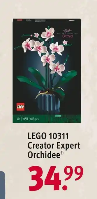 Rossmann Lego 10311 creator expert orchidee Angebot