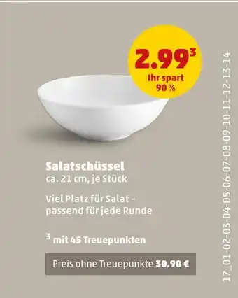 PENNY Salatschüssel Angebot