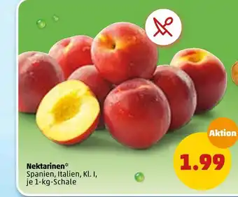 PENNY Nektarinen Angebot