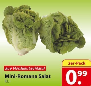 Famila Nord Ost Mini-romana salat Angebot