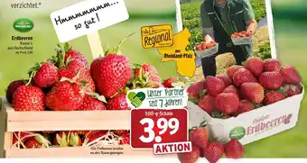 Wasgau Erdbeeren 500g Angebot