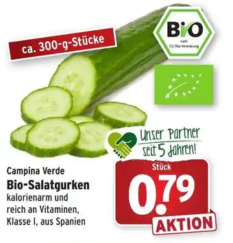 Wasgau Campina Verde Bio Salatgurken Angebot