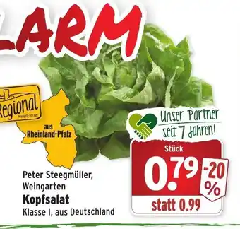 Wasgau Kopfsalat Angebot