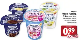 Wasgau Exquisa Protein Pudding, Fitline oder Skyr 200-400g Becher Angebot