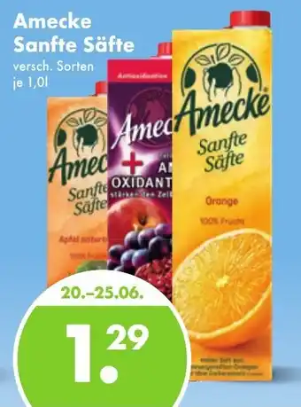 Trink und Spare Amecke Sanfte Säfte 1,0L Angebot