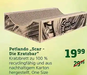 Pflanzen Kölle Petlando „scar-die Kratzbar” Angebot