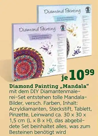 Pflanzen Kölle Diamond Painting „mandala” Angebot