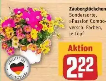 REWE Zauberglöckchen Angebot