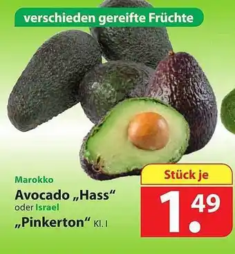 Famila Nord Ost Marokko Avocado ,,Hass,, oder Israel ,,Pinkerton" Angebot