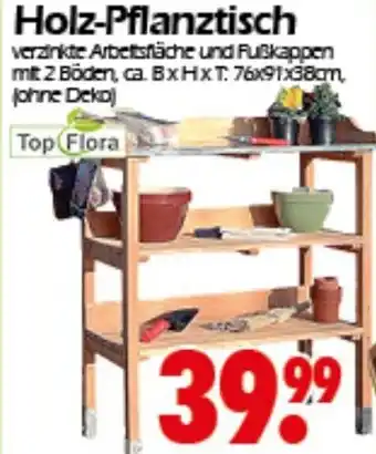 Wreesmann Holz Pflanztisch Angebot