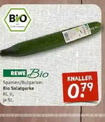 nahkauf Rewe Bio Salatgurke Angebot