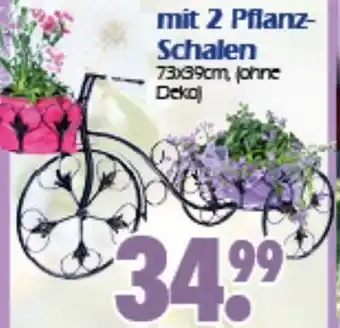 Wreesmann Deko Fahrräder mit 2 Pflanz Schalen Angebot