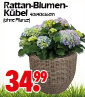 Wreesmann Rattan Blumenkübel Angebot