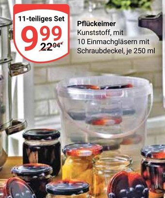 Globus Pfluckeimer Angebot
