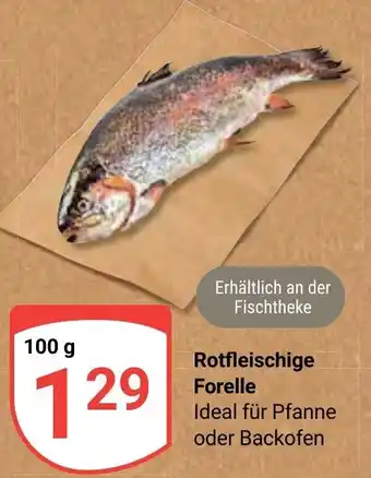 Globus Rotfleischige Forelle 100g Angebot