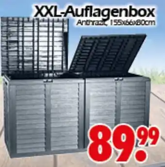 Wreesmann XXL Auflagenbox Angebot