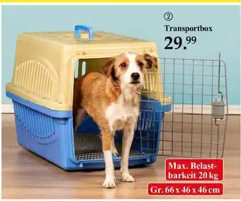 Woolworth Transportbox Angebot