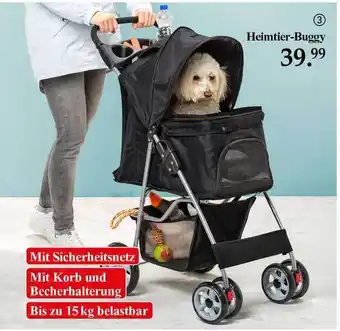 Woolworth Heimtier-buggy Angebot