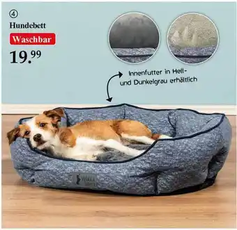 Woolworth Hundebett Angebot