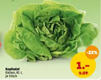 PENNY Kopfsalat Angebot