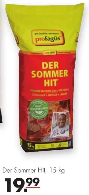 Handelshof proFagus Grill Holzkohle Der Sommer Hit 15 kg Angebot