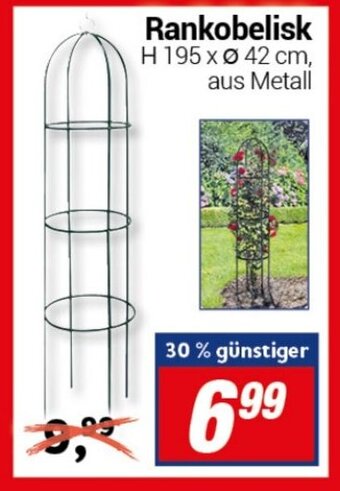 CENTERSHOP Rankobelisk Angebot