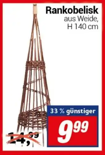 CENTERSHOP Rankobelisk Angebot