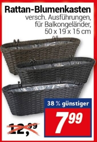 CENTERSHOP Rattan Blumenkasten Angebot