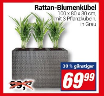 CENTERSHOP Rattan Blumenkübel Angebot