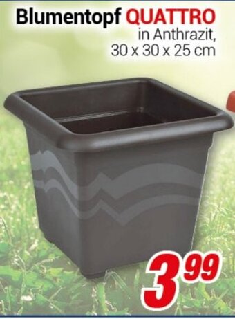 CENTERSHOP Blumentopf Quattro Angebot