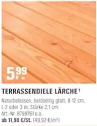 OBI Terrassendiele Lärche Angebot