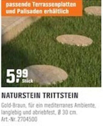 OBI Naturstein Trittstein Angebot