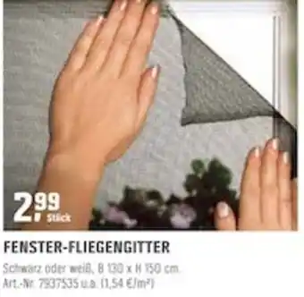 OBI Fenster Fliegengitter Angebot