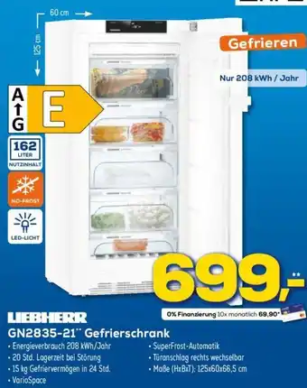 Euronics Liebherr GN2835-21 Gefrierschrank Angebot