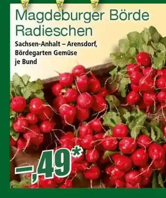 Norma Magdeburger Börde Radieschen Angebot