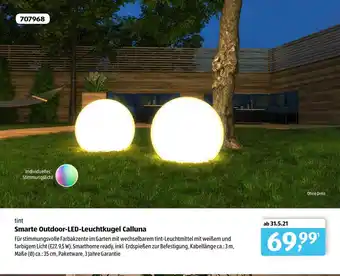 Aldi Süd Tint Smarte Outdoor Led Leuchtkugel Calluna Angebot