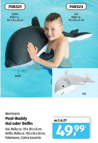 Aldi Süd Westmann Pool Buddy Hai Oder Delfin Angebot