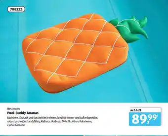 Aldi Süd Westmann Pool Buddy Ananas Angebot