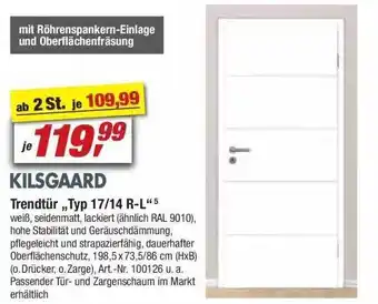 toom Baumarkt Kilsgaard Trendtür „typ 17 14 R-l” Angebot