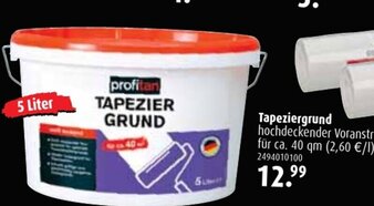 ROLLER Tapeziergrund Angebot