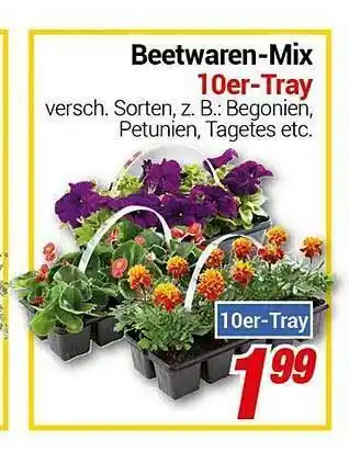 CENTERSHOP Beetwaren-mix 10er Tray Angebot