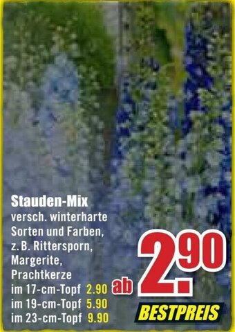 B1 Discount Baumarkt Stauden Mix Angebot