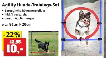 Thomas Philipps Agility Hunde Trainings Set Angebot