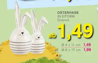 KODi Osterhase Angebot