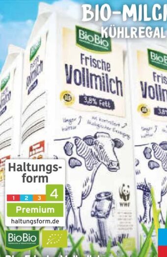 Netto Marken-Discount Frische Vollmilch Angebot